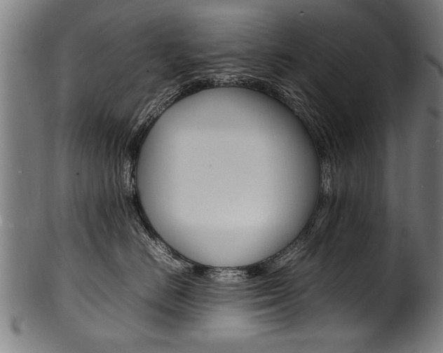 X0000100980670200806241150