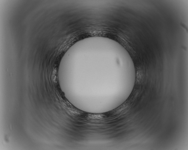 X0000100980671200806241150