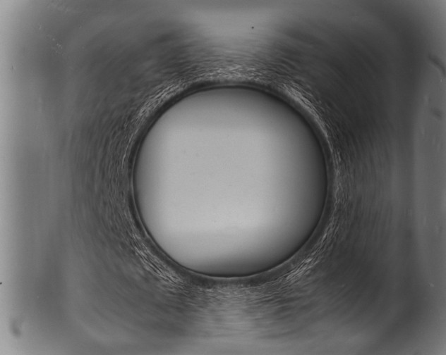 X0000100980673200806241149