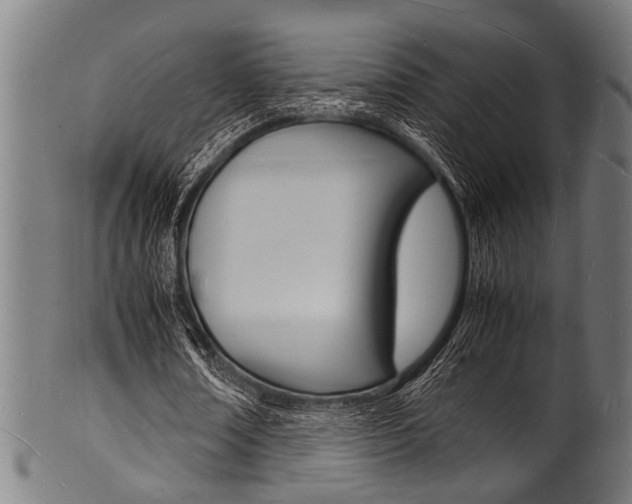 X0000100980674200806241149