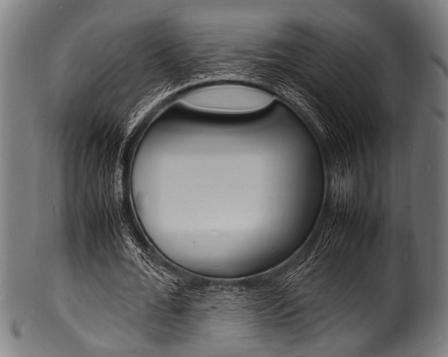 X0000100980676200806241149