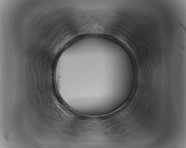 X0000100980677200806241149