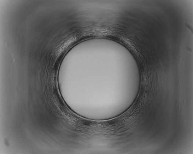 X0000100980679200806241149