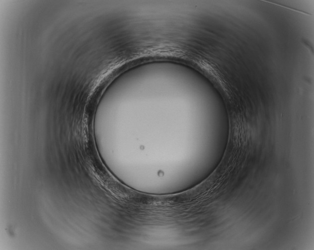 X0000100980680200806241149