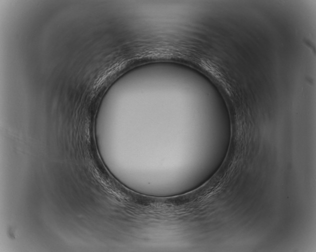 X0000100980681200806241149