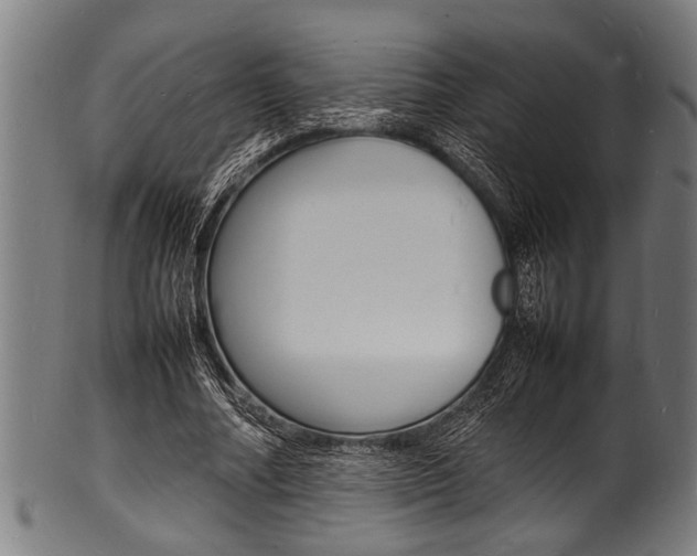 X0000100980682200806241149