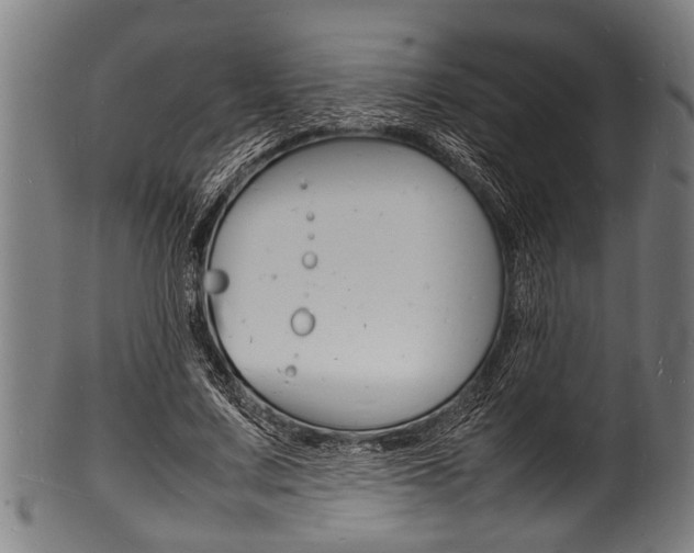 X0000100980683200806241149