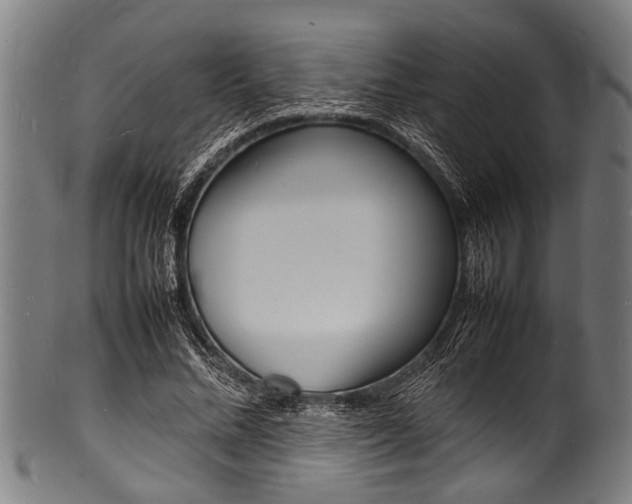 X0000100980684200806241149