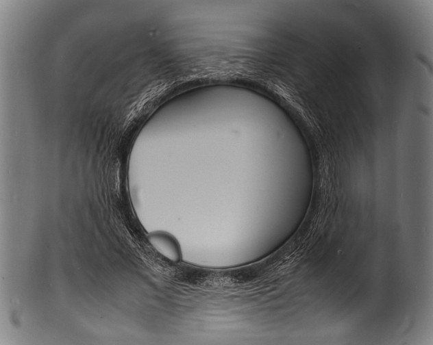 X0000100980685200806241149