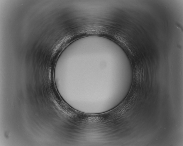 X0000100980686200806241149