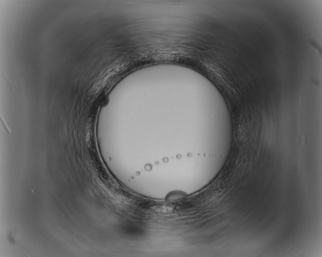 X0000100980687200806241149