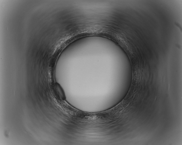 X0000100980688200806241149
