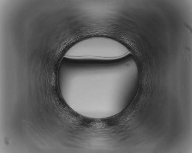 X0000100980689200806241149