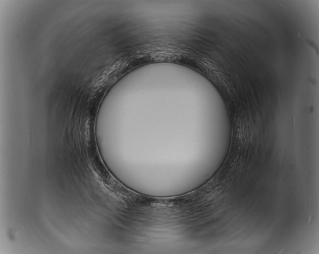 X0000100980690200806241149