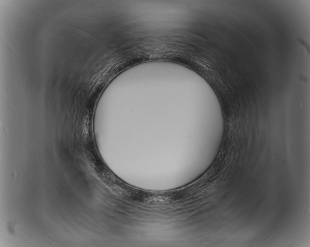 X0000100980691200806241149