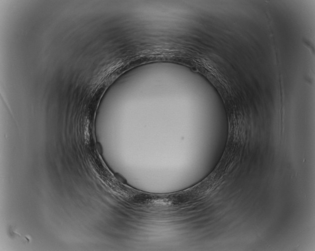 X0000100980692200806241149