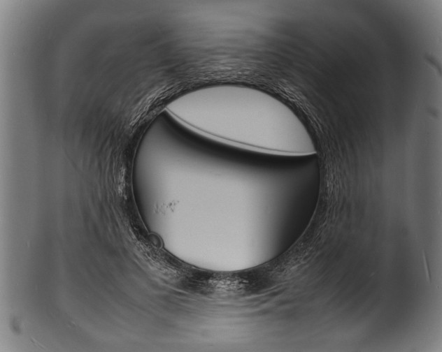 X0000100980693200806241149