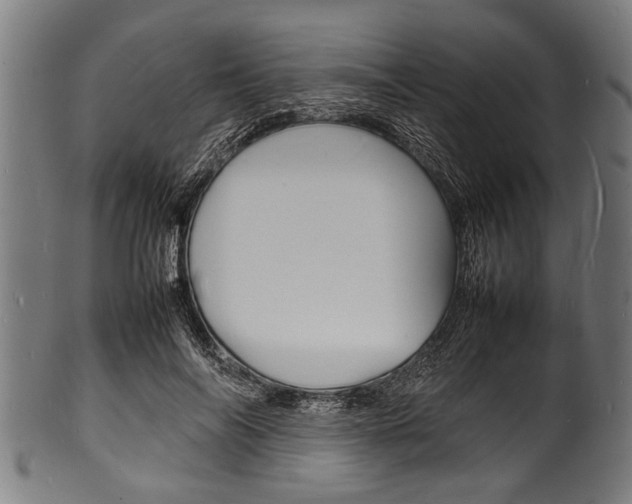 X0000100980694200806241149