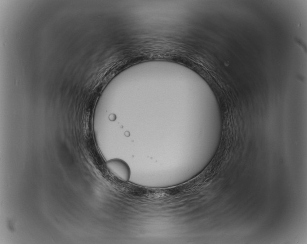 X0000100980695200806241149