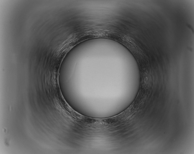 X0000100980696200806241149