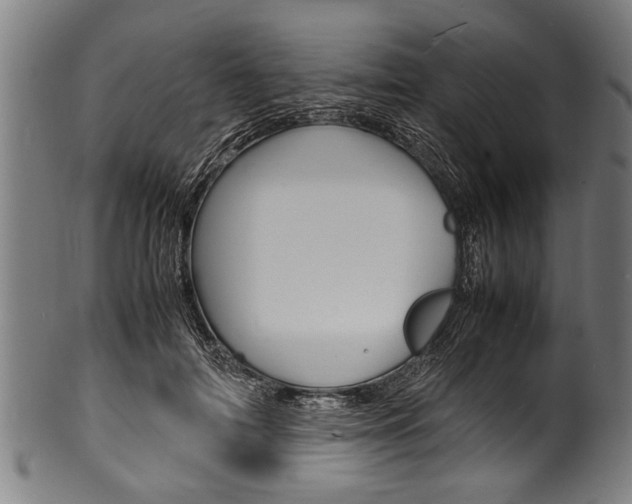 X0000100980698200806241149