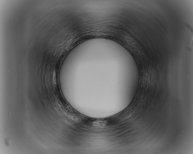 X0000100980700200806241149