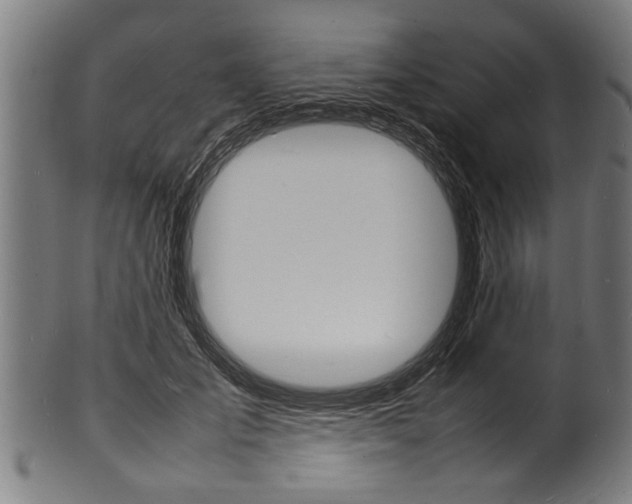 X0000100980701200806241149
