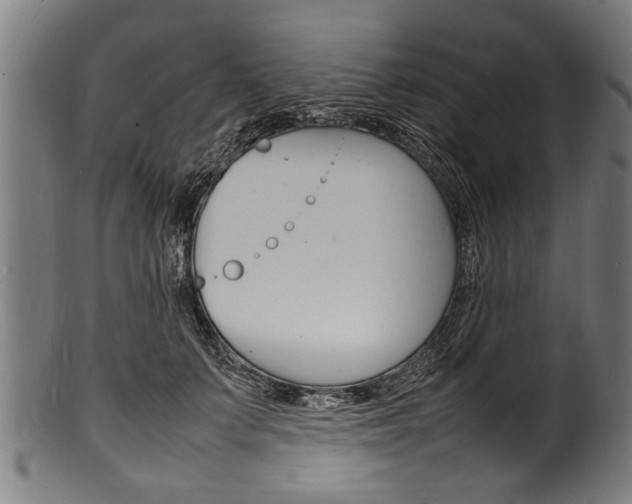 X0000100980703200806241149