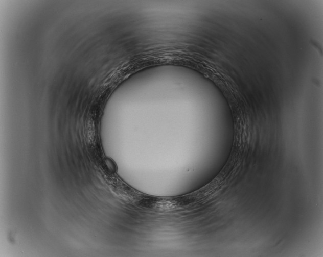 X0000100980704200806241149