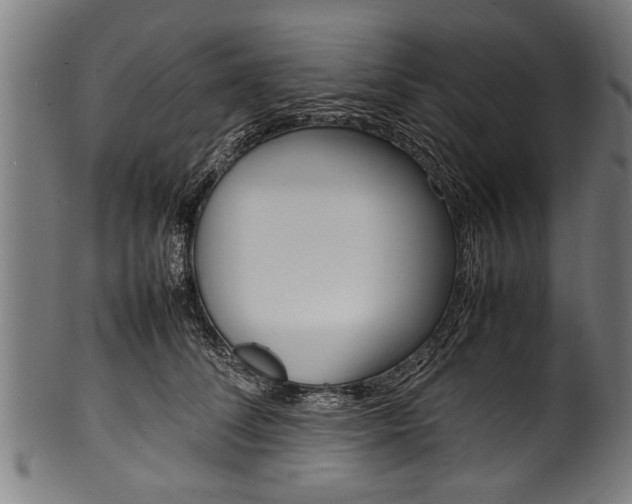 X0000100980708200806241148