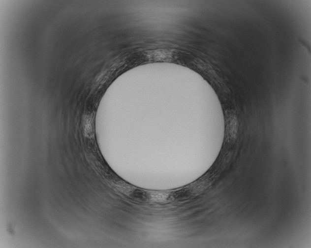 X0000100980709200806241148