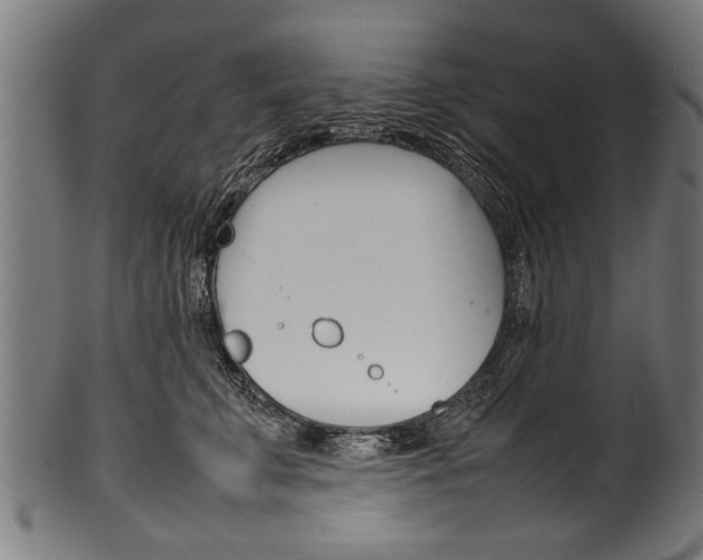 X0000100980711200806241148