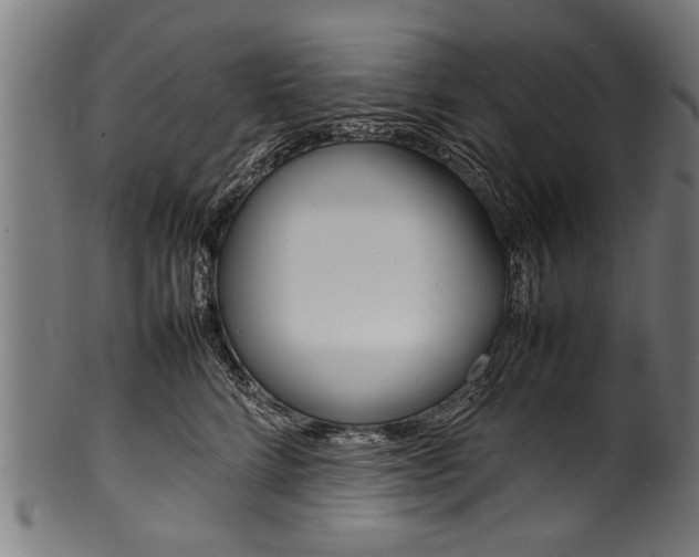 X0000100980712200806241148