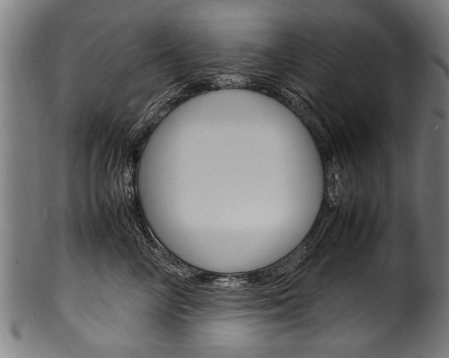 X0000100980714200806241148