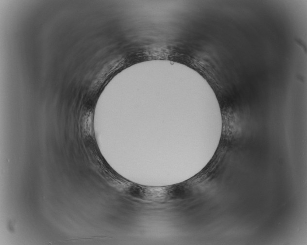 X0000100980717200806241148