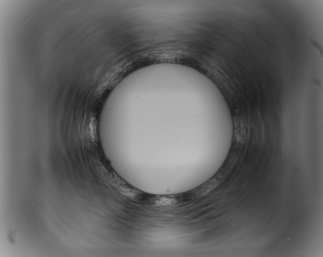 X0000100980718200806241148