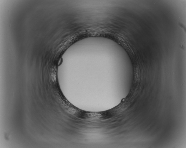 X0000100980719200806241148