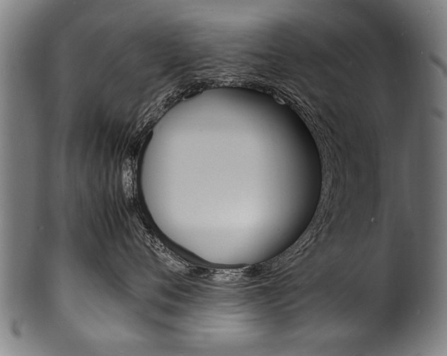 X0000100980720200806241148