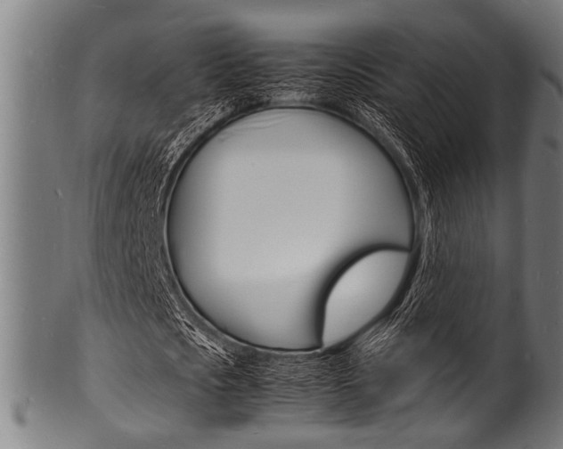 X0000100980721200806241147