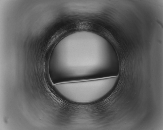 X0000100980722200806241147
