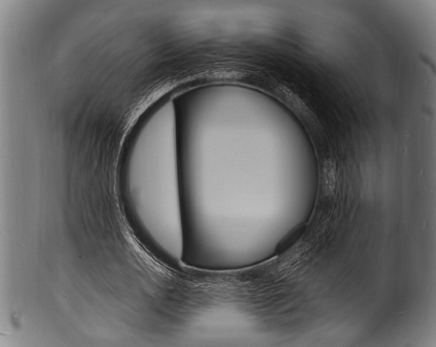 X0000100980726200806241148