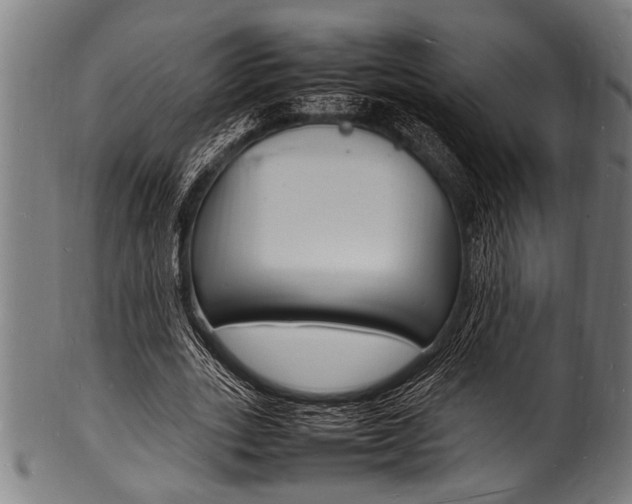 X0000100980727200806241148