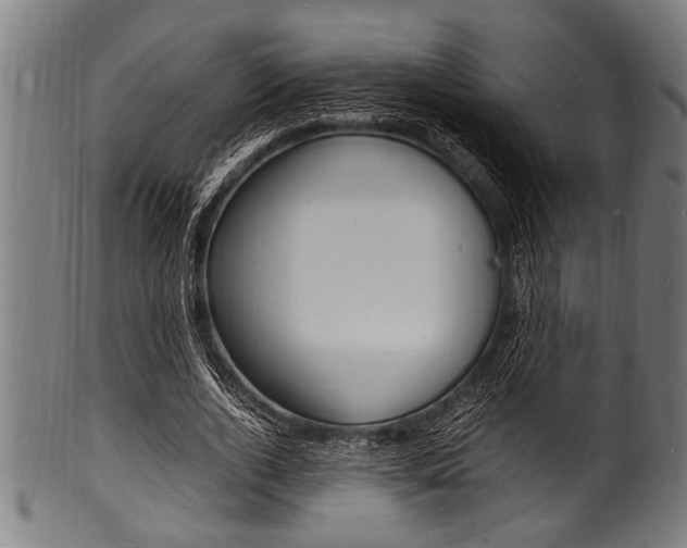 X0000100980728200806241148