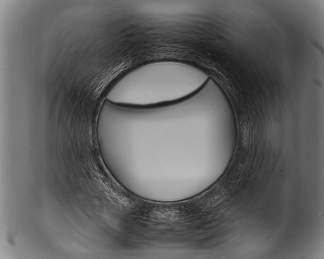 X0000100980729200806241148