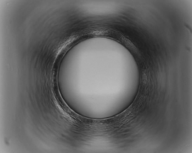 X0000100980730200806241148