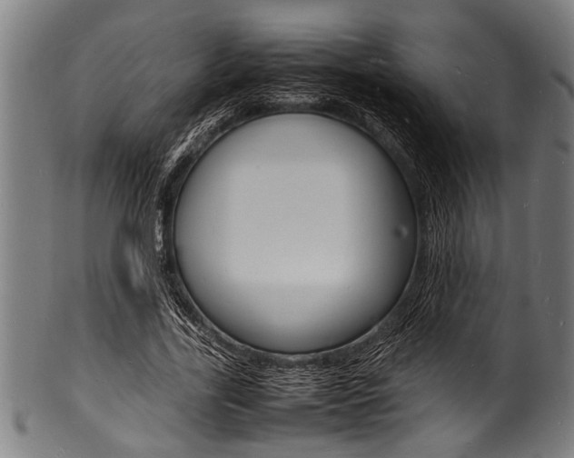 X0000100980731200806241148