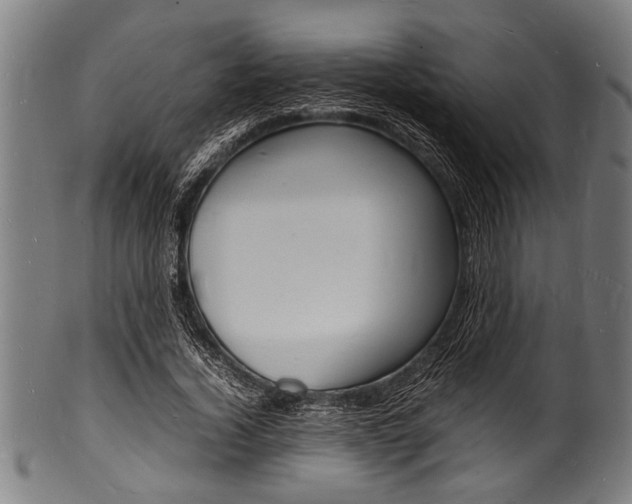 X0000100980732200806241148