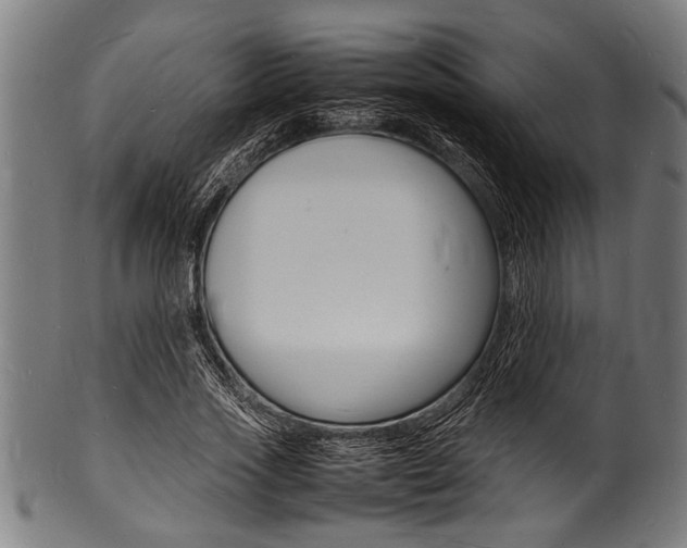 X0000100980733200806241148