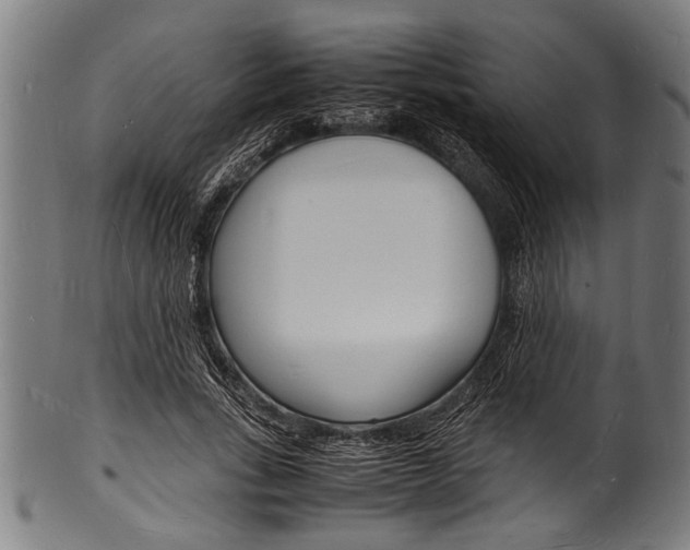 X0000100980735200806241148
