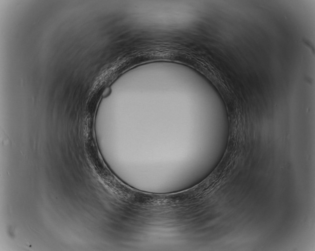 X0000100980736200806241148